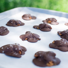 Load image into Gallery viewer, Pecan Clusters